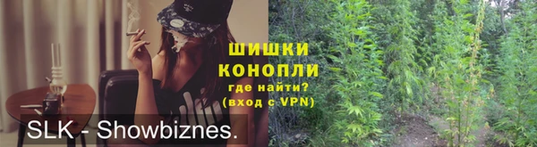 ГАЛЛЮЦИНОГЕННЫЕ ГРИБЫ Алексин