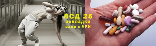 ГАЛЛЮЦИНОГЕННЫЕ ГРИБЫ Алексин