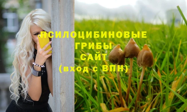 ГАЛЛЮЦИНОГЕННЫЕ ГРИБЫ Алексин